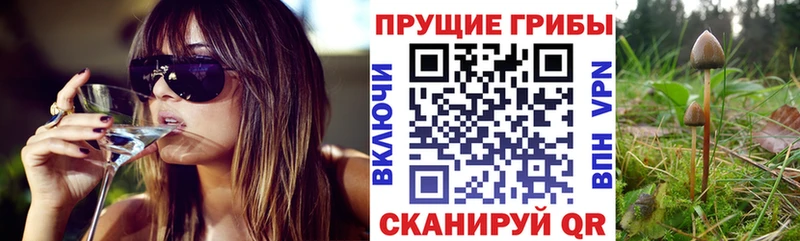 продажа наркотиков Баксан Псилоцибиновые грибы прущие грибы